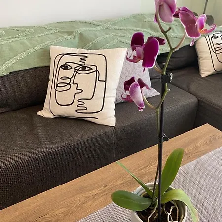 Apartment Katica *
